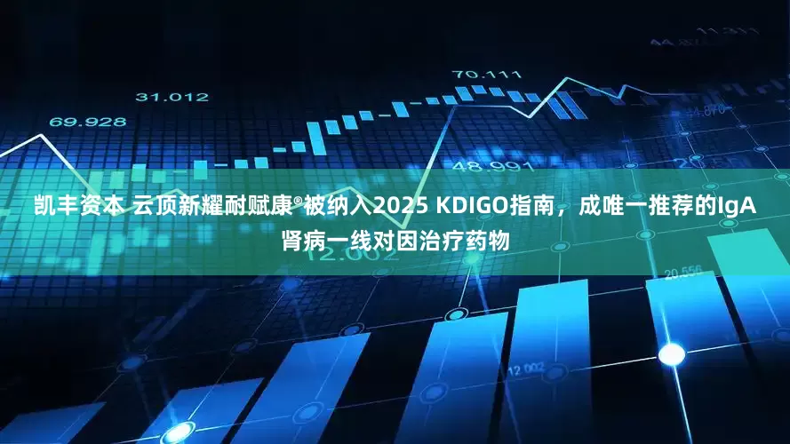 凯丰资本 云顶新耀耐赋康®被纳入2025 KDIGO指南，成唯一推荐的IgA肾病一线对因治疗药物