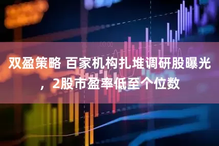 双盈策略 百家机构扎堆调研股曝光，2股市盈率低至个位数